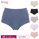 18％OFF Wacoal ワコール Wing ウイング ショーツ なめらかな肌ざわり はきこみ丈ふかめ M・Lサイズ EC1955