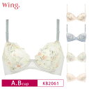 20 OFF Wacoal ワコール Wing ウイング ナチュラルフィットブラ 3/4カップブラジャー (A B)カップ KB2020 3uY