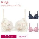 22%OFF ワコール Wacoal ウイング wing ナチュラルアップブラ 3/4カップブラジャー C・Dカップ KB2061