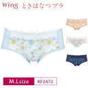 18 OFF Wacoal ワコール Wing ウイング ときはなつブラ KB2172 KB2872 ペア ハイレッグ ショーツ (M Lサイズ) 3uY KF2472