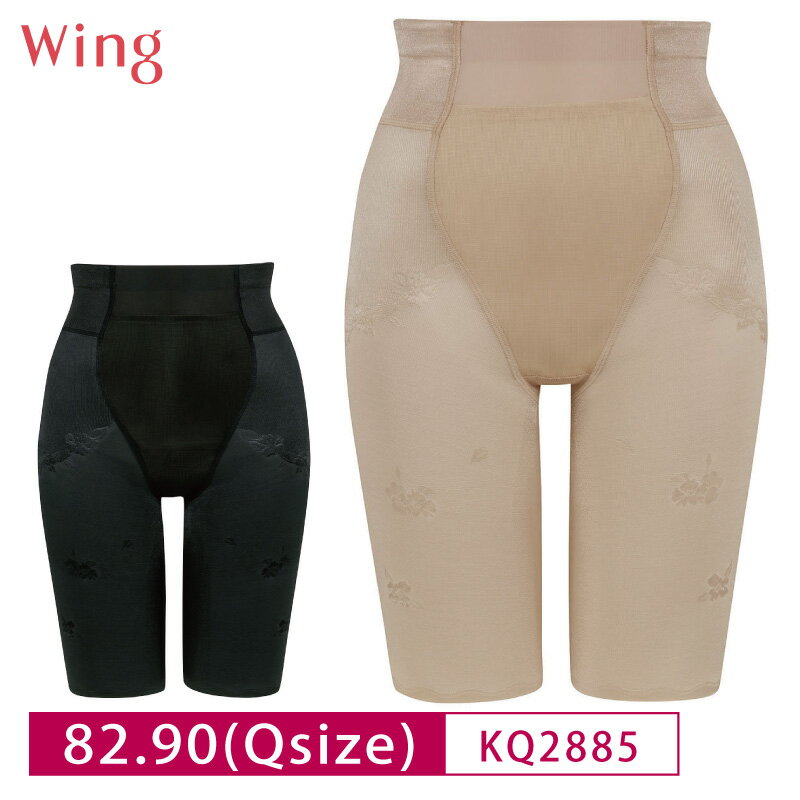 20%OFF 拾 Wacoal Wing  ϥߥǥ 󥰥ɥ 1ǽ ե (82L90LL) Q KQ2885 3uY