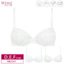 25%OFF ウイング ティーン Wing Teen ブラジャー ジュニア フィット ワイヤーブラ STEP3 (D・E・Fカップ) RB2347 3uY