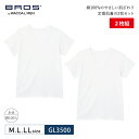 【7/5限定!抽選で2人に1人最大100%ポイントバック!要エントリー】 25%OFF ワコール Wacoal メンズ BROS ブロス バイ ワコールメン WACOAL MEN メンズシャツ 2枚組 半袖 インナー 綿100%トップス M・L・LLサイズ GL3500