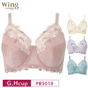 25%OFF Wacoal ワコール Wing ウイング Lesiage レシアージュ 5010シリーズ Classic3 フルカップ ブラジャー G・Hカップ...