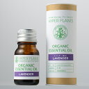 nCp[vcy x_[ ( ^ ) zʐ I[KjbN GbZVIC  essential oil organic hyper plants lavender