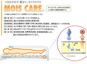 クールメッシュパッドフランスベッドの新しい敷きパッドフランスベット綿の約2倍の吸湿力のモイイスケアを使用したベッドパット吸湿と放湿の機能性敷パッド敷きパット敷パット立体メッシュで通年快適なフランスベッドクールメッシュパッドワイドダブルサイズ幅154cm