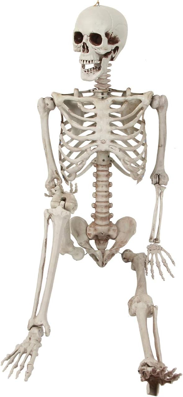 ハロウィン 骸骨 飾り 165cm等身大 スケルトン 怖い お化け屋敷 髑髏 恐怖 ホラー デコレーション 雰囲気満点 装飾 道具 家庭用 店舗 パーティー 肝試し ハロウィン グッズ