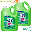 SALE対象商品 花王 ワイドハイター EXパワー 詰め替え 4.5L 2個 セット Kao 業務用 大容量 洗剤 液体酵素系漂白剤 衣料用洗濯洗剤 洗濯洗剤 洗濯用洗剤 洗濯 つめかえ用 酸素系