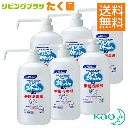 送料無料 花王 ハンドスキッシュ EX 800ml × 6本 1ケース 本体 指定医薬部外品 大容量 業務用 付け替え つけ替用 つけかえ つけ替え 外皮消毒剤 消毒液 手指 皮ふ用 洗浄消毒剤 日本製 Kao プロシリーズ 1