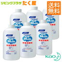 SALE対象商品 送料無料 花王 ハンドスキッシュ EX 800ml × 6本 1ケース 指定医薬部外品 大容量 業務用 付け替え つけ替用 つけかえ つけ替え 外皮消毒剤 消毒液 手指 皮ふ用 洗浄消毒剤 日本製 Kao プロシリーズ