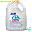 送料無料 花王 ハンドスキッシュ EX 4.5L 指定医薬部外品 大容量 業務用 詰め替え つめかえ用 外皮消毒剤 手指 皮ふ…