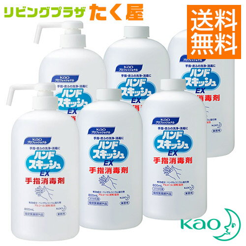 送料無料 花王 ハンドスキッシュ EX 800ml (本体：