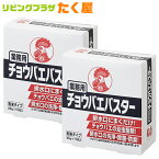 業務用 金鳥 KINCHO チョウバエバスター 25g×10包 × 2箱 チョウバエ幼虫 ショウジョウバエ幼虫 駆除 ヌメリ 油汚れ 湯垢の洗浄 除菌 防臭 不快害虫用粒剤 大日本除虫菊株式会社