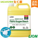 SALE対象商品 送料無料 / ライオン 業務用 大容量 詰め替え カラーブリーチEX 5L 濃縮酵素系漂白剤 部屋干しOK 色柄物にも安心 除菌 消臭 漂白 濃縮タイプ 液体漂白剤 少ない量でも菌やニオイ 汚れまでしっかり分解 コック付き 注ぎ口付き LION ライオンハイジーン