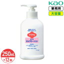 SALE対象商品 花王 ソフティ 薬用ミルクローション 250ml × 12本 1ケース 大容量 業務用