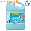 送料無料 / ニイタカ 泡ブリーチ 5.5kg 除菌 漂白剤 (スプレー可能タイプ) アルカリ性 泡状 汚れ ヌメリ ニオイ 除去 漂白 洗浄 アルカリ性