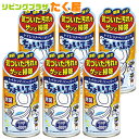 送料無料 / 小林製薬 トイレットペーパーでちょいふき 120mL × 6個 セット トイレ用ふきとり液 トイレ 洗浄 除菌 便器 便座 床 清潔