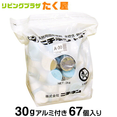 ニチネン トップボックスA 固形燃料 30g アルミ付き 67個