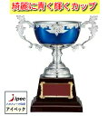 優勝カップ FB-148D　Dサイズ　 カップ 優勝トロフィー 優勝メダル 優勝 カップ 文字彫刻代金無料 音楽 バスケットボール サッカー バドミントン バレーボール ゴルフ 剣道 柔道