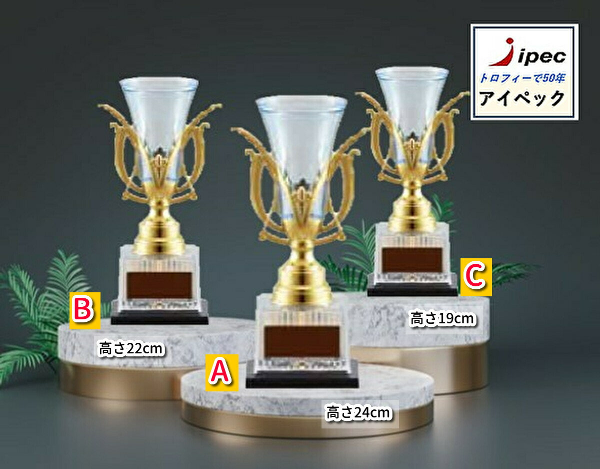 優勝カップ Fb 164a 高さ24cm 文字代無料 樹脂製 トロフィー ゴルフ サッカー 野球 Remambo Jp 優勝カップ Fb 164a 高さ24cm 文字代無料 樹脂製 トロフィー ゴルフ サッカー 野球 Remambo Jp