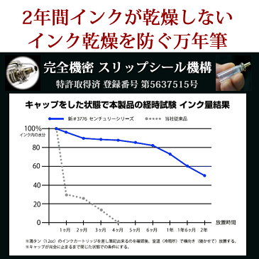 万年筆 プラチナ萬年筆 名入れ #3776 センチュリー コンバーター付属 or カートリッジ10本付属 シャルトルブルー/ブルゴーニュ/ブラックインブラック