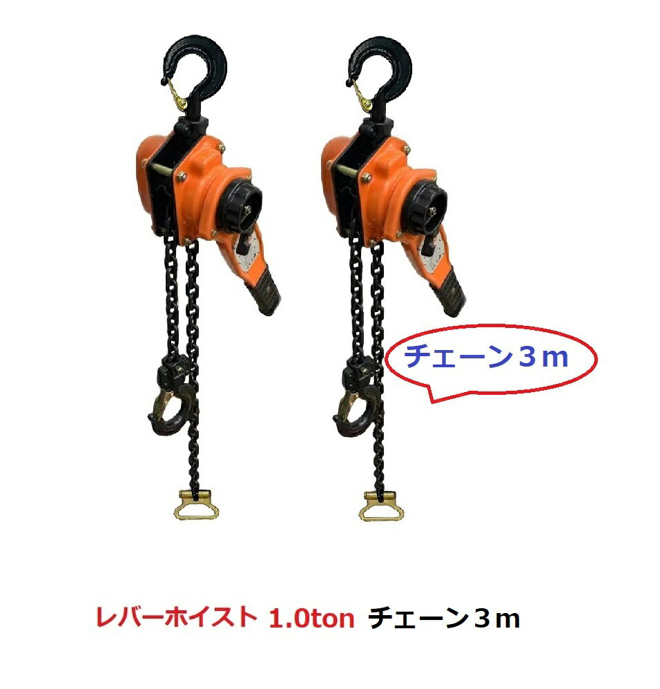 ����ǥ�!��6�����ݾڡۡ��μ���OK��2�楻�å���͵���������С��ۥ�����1TON��Lever Hoist�ˡڥ�������3m�ա�ǧ�ڽ��ǧ���ޡ� ��������ۥ�����...