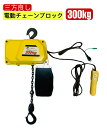【あす楽対応】電動チェーンブロック300kg 揚程4m or 6m 50/60Hz対応 電動ホイスト1速型 電気チェーンブロック ホイスト 電動ホイスト 電動チ...