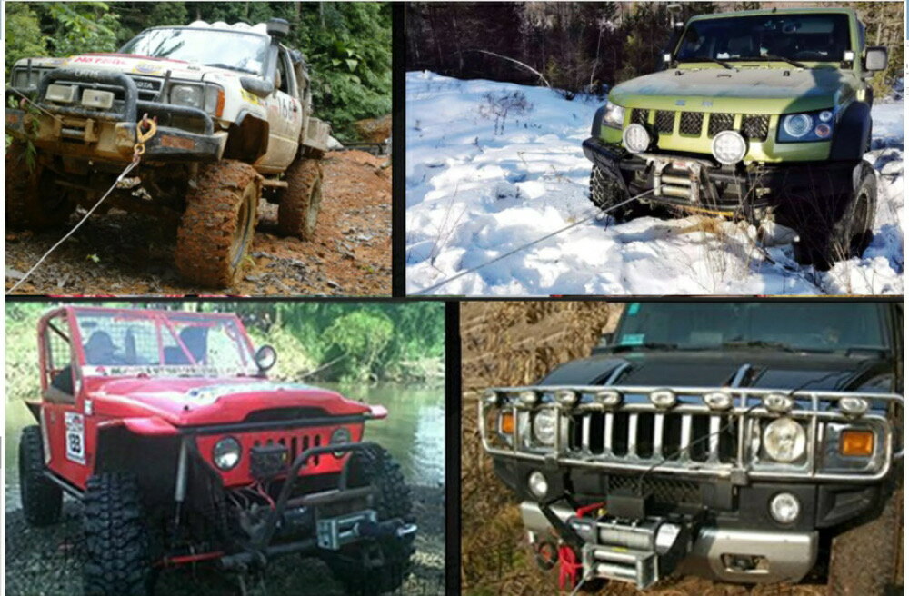 ¨Ǽ��6�����ݾڡ���ư������� DC12V 3000LBS��1361kg�˥磻�䡼�����ס�̵��/ͭ����⥳���դ� ��ư ������� �ɿ���� ��DC12V �� ���� �Ÿ� �ۥ����� �����夲�� ���� ������� �ۥ����� ���夲�� �����ɤ��������