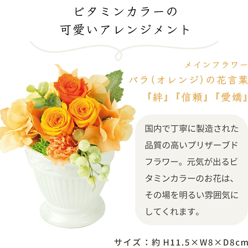 【 あす楽 】 花とカタログ セット プリザーブドフラワー アレンジ O と グルメカタログギフト セット 花 ギフト 誕生日プレゼント 女性 母 結婚 人気 誕生日 プレゼント 母親 高級 G-DO (DB) 退職祝い 両親 還暦祝い 結婚祝い退職 フラワーギフト 10000円 [花セ]