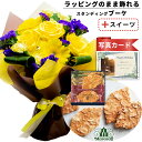 誕生日プレゼント 退職祝い バラ 飾れる 花束 イエロー と プチギフト モロゾフ ナッツ 焼き菓子 花 と お菓子 スイーツ セット バースデー 誕生日 プレゼント ギフト お祝い (SE) 送料無料 5000円 5千円 ランキング ギフトセット 写真入り お返し お礼 母親
