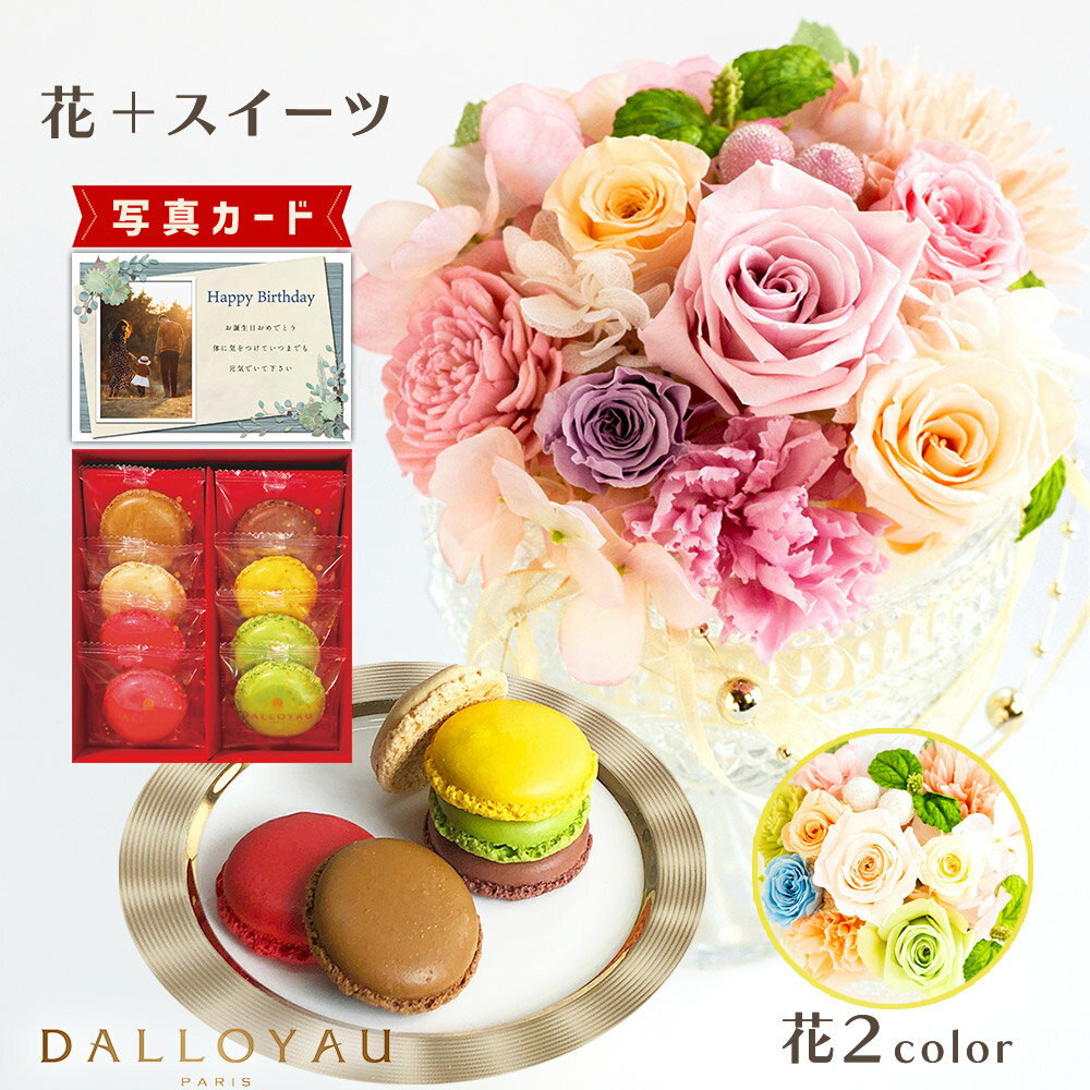 ベル ピンク パステル ダロワイヨ マカロン 洋菓子 プリザーブドフラワー プレゼント お祝い 結婚祝い 誕生日プレゼント 母親 (DB) [b2] 新築祝い 定年 退職祝い 開店祝い お見舞い 枯れない花 父 父親 女友達 フラワーギフト おしゃれ 花 一万円 1万円 花とお菓子