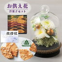 【 お供え 花 】 プリザーブドフラワー すずね ガラスドーム と モロゾフ ファヤージュ 焼菓子 洋菓子 御供 御供え物 お供え物 供花 お彼岸 枕花 お盆 ...