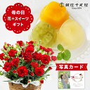 写真付きメッセージ 母の日 プレゼント ギフト 生花 花 カーネーション レッド 鉢植え 5号 と 千疋屋 ゼリー 3個 花とスイーツ お菓子 スイーツセット お花とお菓子 70代 80代 母の日プレゼント 母の日花とお菓子 (HSE) 花とスイーツ 花 セット 写真 珍しい 入学