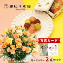 写真付きメッセージ 母の日 プレゼント ギフト 生花 花 カ