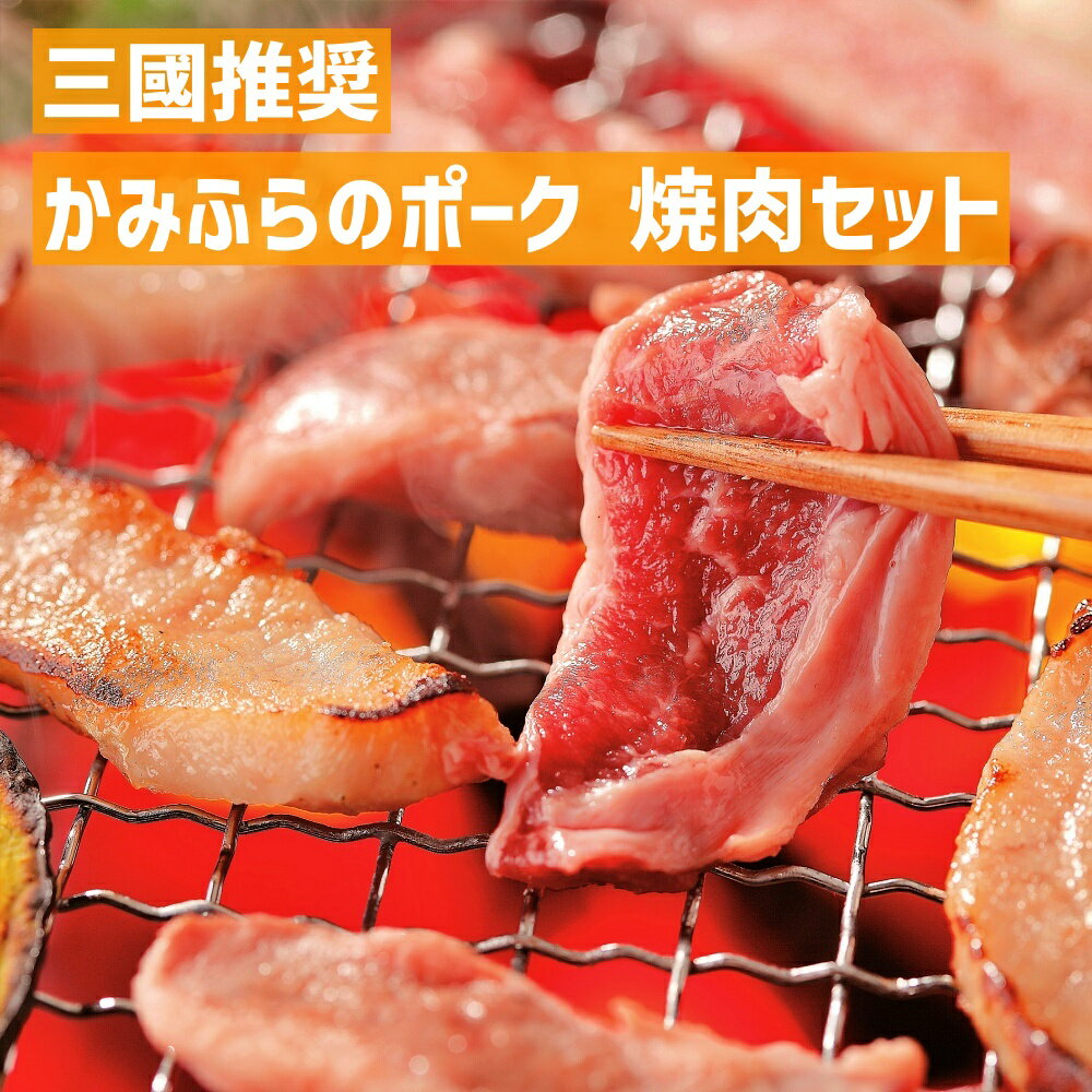 【 出産内祝い ギフト 】 北海道 かみふらの ポーク サガリ & 焼肉 5個セット お肉 国産 肉 贈り物 お礼 お見舞い 人気 出産内祝い 出産 内祝い 結婚 お祝い お返し 両親 女性 実家 6000円 gift present (SK)軽 肉 母の日