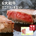 出産内祝い ギフト 6大 ブランド 和牛 食べ比べ ミニ ステーキ 360g 牛肉 贈り物 お礼 お見舞い 人気 出産 内祝い 結婚 お祝い お返し 両親 女性 実家 一万円 高級グルメ (SK)軽 肉 1万円 ランキング 送料無料 写真入り お中元 サマーギフト 自分へのご褒美