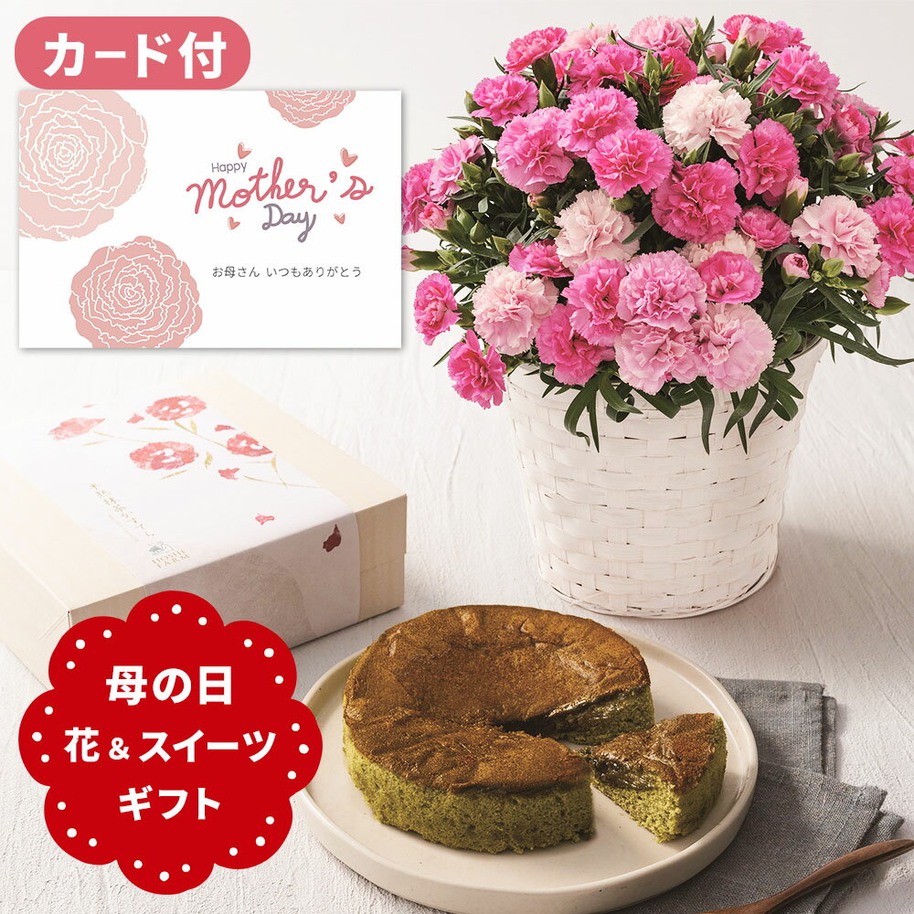 母の日 花とお菓子 ギフトセット カーネーション 三源庵 抹茶 カステラ 和菓子 スイーツセット お花とお菓子 ピンク お花 70代 60代 50代 40代 母の日プレゼント (HADF) カード メッセージ フラワー ギフト 鉢植え 5000円 記念日 送料 無料 [袋N][包装]のサムネイル