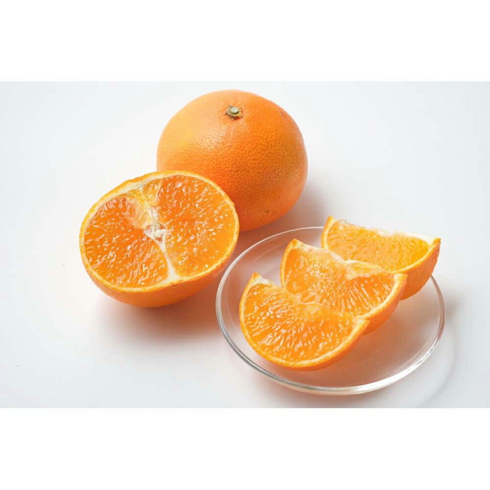 お歳暮 早割 冬ギフト 年末 年始 ごちそう おせち 愛媛県産 紅まどんな オリジナル 柑橘 フルーツギフト 果物 ジューシー 甘い 贈り物 年末ギフト 冬の贈り物 感謝の贈り物 グルメ 食品ギフト ごちそう お取り寄せ 美味しい 9000円 (SADf) [包装]軽(4)