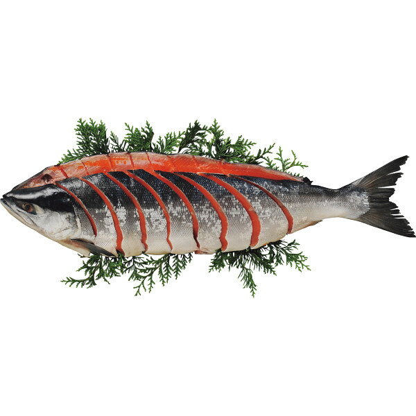 お歳暮 早割 送料無料 冬ギフト ギフト 年末 年始 ごちそう 塩紅鮭 姿 切身 1尾 鮭 しゃけ 紅鮭 贅沢 魚 贈り物 年末ギフト 冬の贈り物 感謝の贈り物 グルメ 食品ギフト ごちそう お取り寄せ 美味しい 9000円 (SSDs) [産直][包N]軽 内祝い