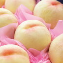 お中元 2025 夏 ギフト 桃 もも 岡山県産 岡山 白桃 1.2kg フルーツ 果物 くだもの 果汁 多い エース規格 贈り物 お礼 お見舞い 残暑 お見舞い 暑中 お中元 お返し お祝い お返し 内祝い 出産 おすすめ 家族 兄弟 親戚 上司 お供え 初盆 お盆 送料無料 7000円 (CSDf)軽
