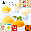 お中元 2025年 夏 ギフト ゼリー 凍らせて食べる シャーベット 常温保存 宗家 源 吉兆庵 夏菓撰 詰合せ フルーツ マンゴー 贈り物 お礼 お見舞い 御中元 暑中見舞い 残暑見舞い お祝い 内祝いお返し おすすめ 家族 兄弟 親戚 上司 お供え 初盆 送料無料 6000円 (CSD)軽