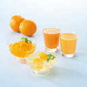 お中元 夏 ギフト メッセージカード 無料 季節の柑橘 詰合せ ギフトセット ジュース ゼリー オレンジ みかん ブラッドオレンジ さっぱり ギフト 贈り物 出産祝い お礼 結婚 入学 新築 快気 祝い 香典返し お祝い返し 送料無料 人気 4400円 (CSD)軽