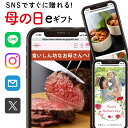 今日贈れる 母の日 遅れてごめんね プレゼント 4000円 食べ物 北海道産 海鮮 グルメ うなぎ 和牛 選べる eギフト カタログギフト 送料無料 義 母 女性 人気 40代 50代 60代 70代 ソーシャルギフト デジタル 手軽 おすすめ ちょっとした ギフトカタログ jo-co-c (EG) お中元