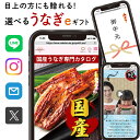 お中元 夏ギフト うなぎ ギフト プレゼント 選べる グルメ カタログギフト 1万円コース 国産 うなぎ料理 土用の丑の日 eギフト 送料無料 義父 父 男性 人気 40代 50代 60代 70代 ソーシャルギフト デジタル 動画付き 10000円 ug-ho (EG)