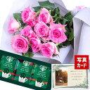 バラ 花束 ピンク と スターバックス コーヒー ドリップ 送料無料 コーヒー セット 花 誕生日プレゼント 還暦祝い 古希 祝い 母 おばあちゃん 女性 花と コーヒー お 誕生日 ランキング ギフト 60代 70代 スタバ と お花 プレゼント (SE) 結婚祝 ギフトセット 母親