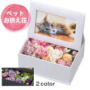 プリザーブド フォトボックス ピンク パープル 花 プリザーブドフラワー ペット用 お供え 初盆 供花 仏壇 御供 一周忌 ペット御供 ペットお供え花 枕花 御...