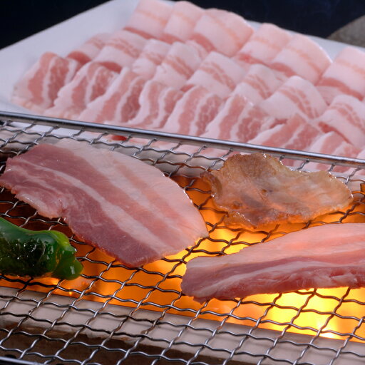出産内祝い ギフト 山形豚 バラ焼肉(400g) お肉 豚肉 お肉 贈り物 お礼 お見舞い 人気 出産 内祝い 結婚 お祝い お返し 両親 女性 実家 winter gift present (SK)軽 肉 ランキング 4000円 お返し 写真入り 入学 母の日グルメ 入学内祝い 出産内祝い ギフト 山形豚 バラ焼肉(400g) お肉 豚肉 お肉 贈り物 お礼 お見舞い 人気 出産 内祝い 結婚 お祝い お返し 両親 女性 実家 winter gift present (SK)軽 肉 ランキング 4000円 お返し 写真入り 入学 母の日グルメ 入学内祝い