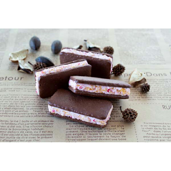 お歳暮 早割 冬ギフト 内祝い お返し 出産 メッセージカード 無料 福岡 BeFactory あまおう ショコラ サンド クッキー 16個 チョコレート ココ...