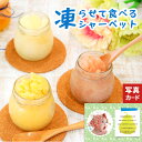 出産内祝い 写真カード ギフト 和歌山 「 ふみこ農園 」 凍らせて! ソルベ スイーツ 洋菓子 高級 贈り物 人気 出産 内祝い 結婚 お返し 5000円 (SK)軽 結婚内祝い お供え 初盆 お盆 お祝い返し 誕生日 御供 出産お返し ランキング 4000円 お中元 送料無料 自分へのご褒美