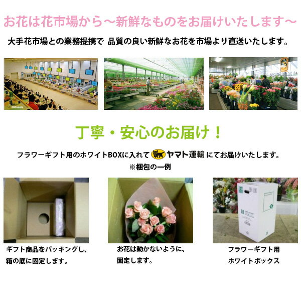 お祝い ギフト フラワーギフトセット お酒・食品も選べる！ カタログ 花＆イエロー系 バラ 花束 フラワーギフト セット 父親 誕生日 プレゼント おとうさん 祖父 おじいさん送料無料 メッセージカード無料 B-XOO (SE) 結婚祝 退職お祝い 敬老の日